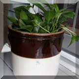 D79. Crock with plant. 12”h x 13”w - $45 